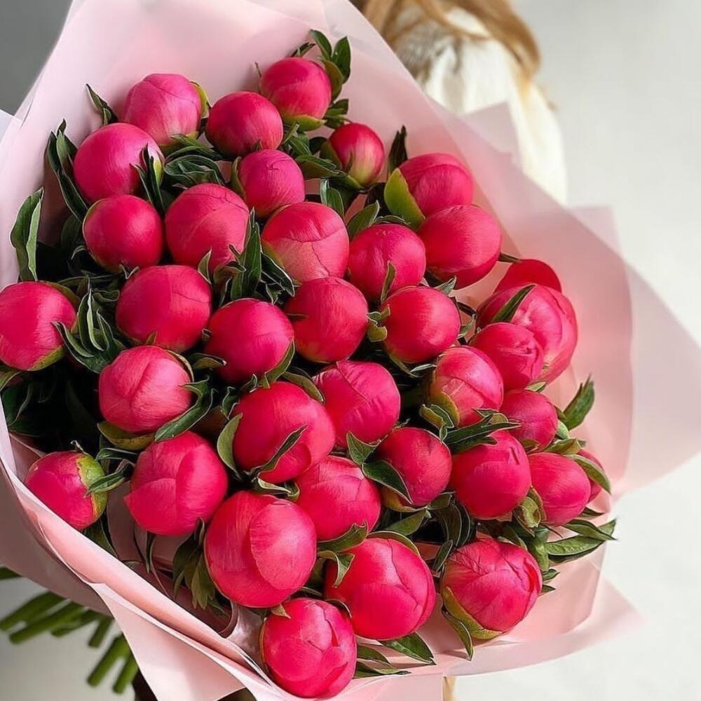 Букет из 31 кораллового пиона