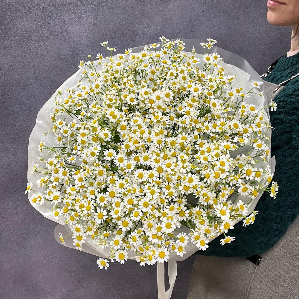 Букет из 35 кустовых ромашек