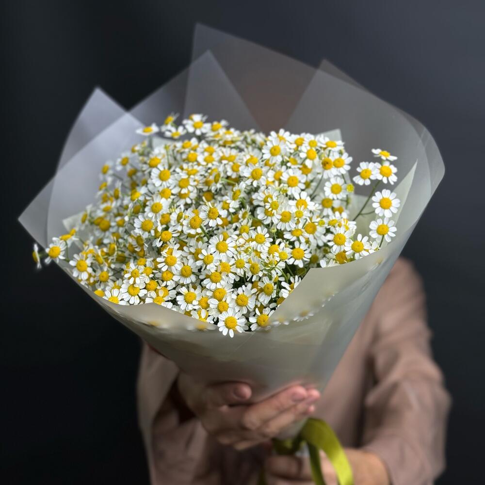 Букет из 9 кустовых ромашек