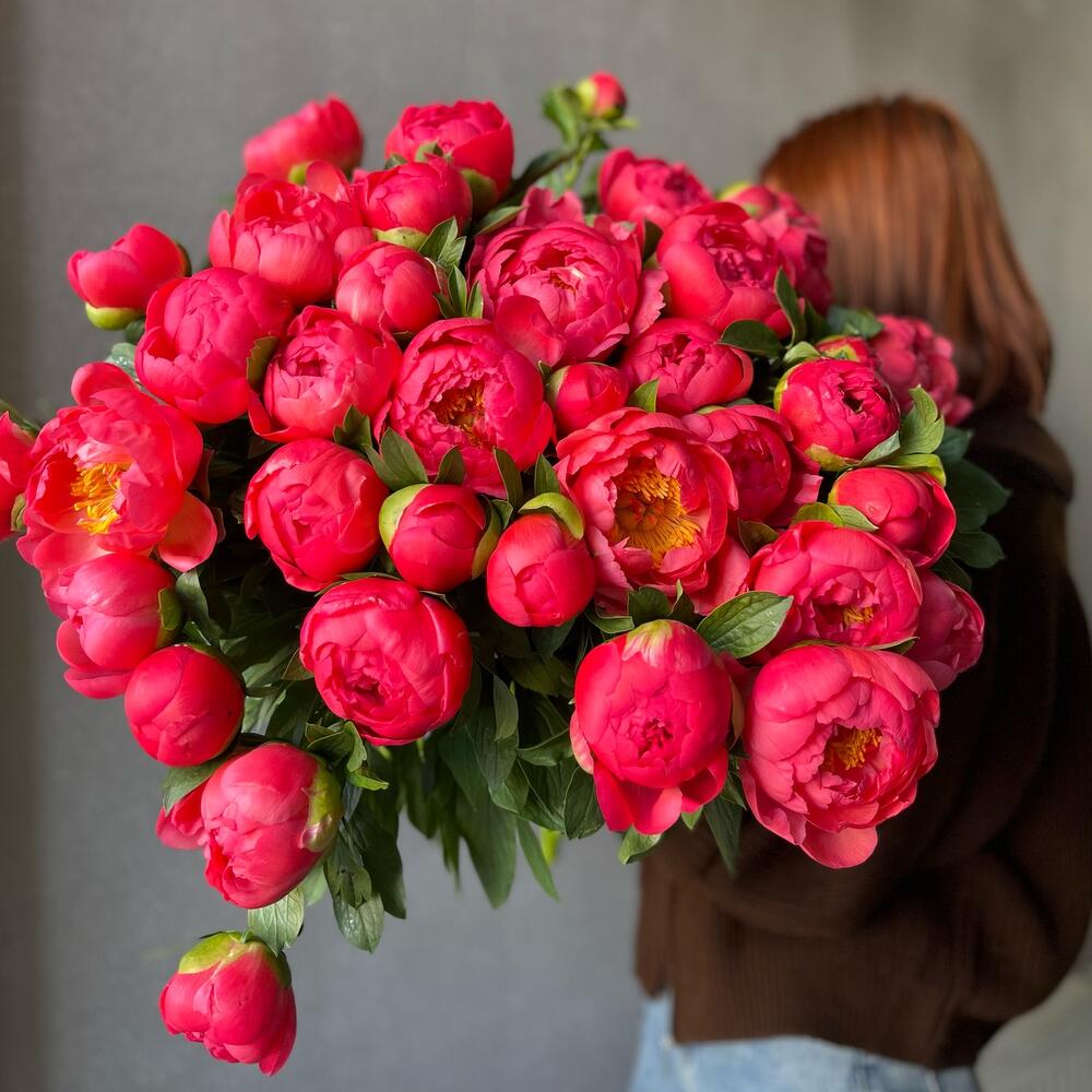 Букет из 35 коралловых пионов