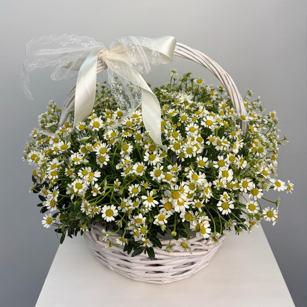 Корзина с Ромашками