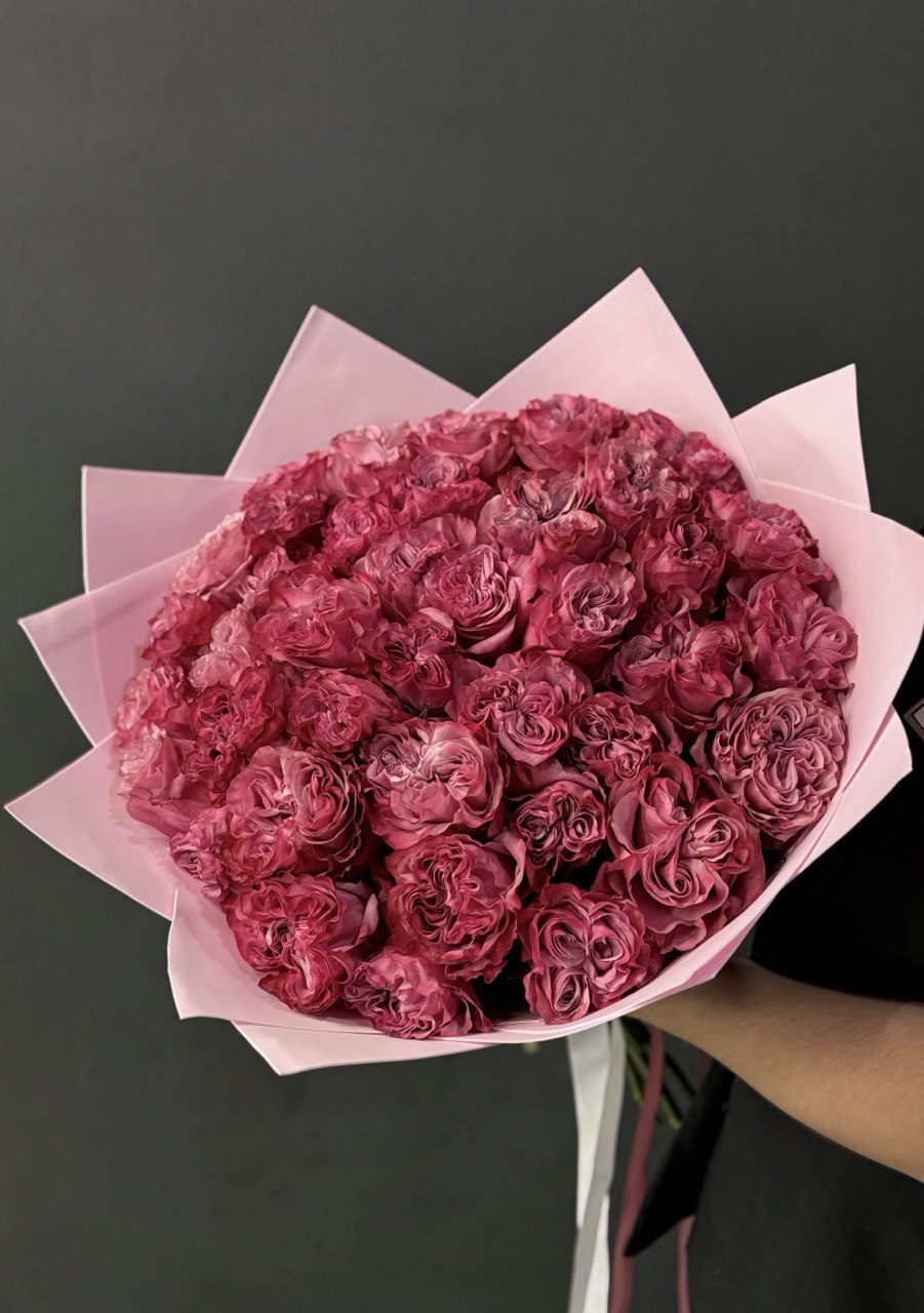 51 пионовидная роза Кантри Блюз