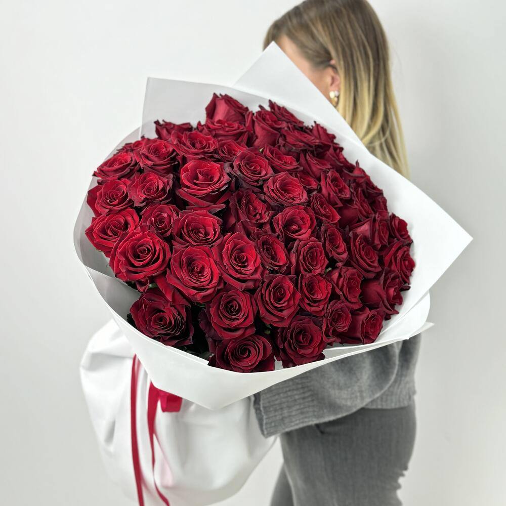 51 бордовая роза Эксплорер