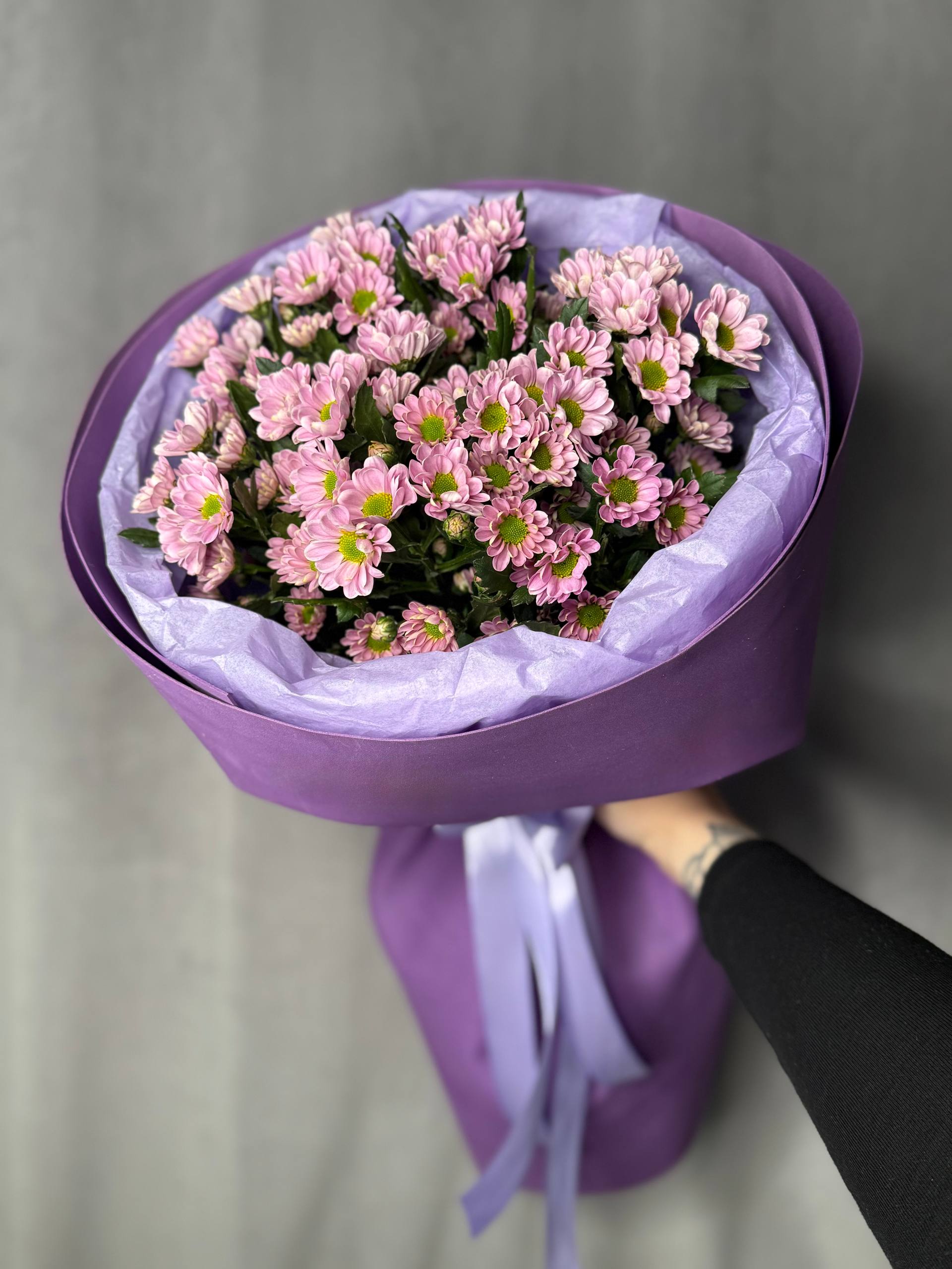 Хризантема Росси Пинк